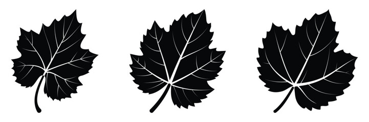 Black Silhouette Grape Leaves Vector - High Contrast Digital Art