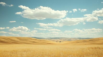 Fototapeta premium Serene Golden Wheat Field Under a Vast Blue Sky