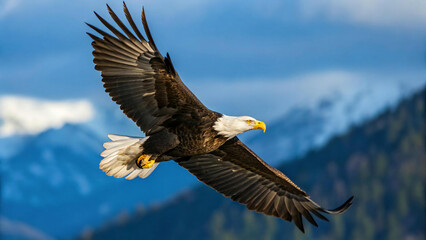 Obraz premium Majestic Flight of Bald Eagle Against a Scenic Sky