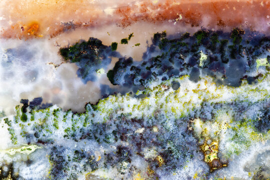 Multicolour Opal Wood Closeup  