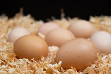 Fresh brown chicken eggs nestled in wood shavings. Symbolizing farm freshness, natural ingredients, and the wholesome simplicity of rural living, perfect for healthy, home-cooked meals.