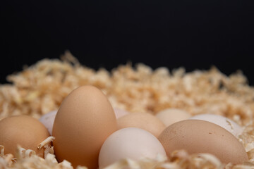 Fresh eggs in a nest of wood shavings.