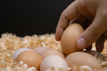 Hand picking up a brown egg
