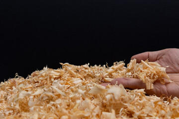 Close-up of wood shavings held in a hand with a dark background