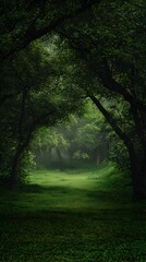 Fototapeta premium Mystical forest path, green foliage, sunlight filtering through trees, magical atmosphere, tranquil scene, nature's beauty, serene landscape, peaceful environment.