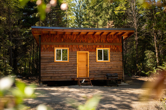 Wooden Cabin in forest