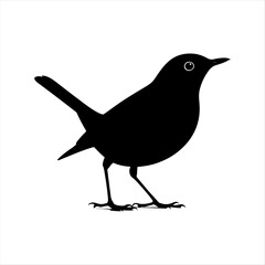 Black Bird Silhouette on White Background