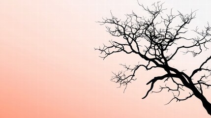 Fototapeta premium Black Tree Silhouette Against Soft Gradient Background at Dusk