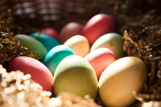 Vibrant easter celebration with colorful eggs in a spring