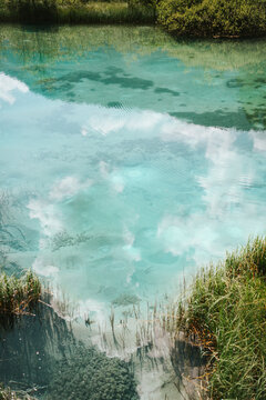 Zelenci Nature Reserve in Slovenia