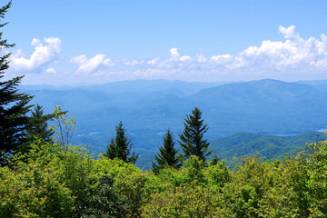 Blue mountain ridges and green trees in Smoky Mountains