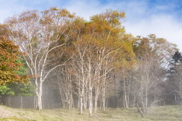 山梨県甲州市　秋の大菩薩嶺