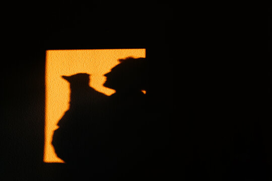  Silhouette of a man holding a cat
