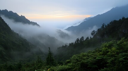 Serene mountain covered in fog with mystical vistas that evoke a sense of tranquility in nature's embrace 