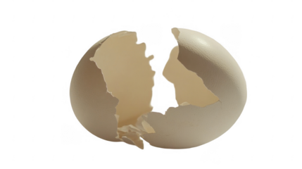 Cracked Eggshell with Broken Pieces Isolated on White Background