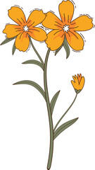 Fototapeta premium Hand-Drawn Wildflower Illustration – Colorful Floral Botanical Art