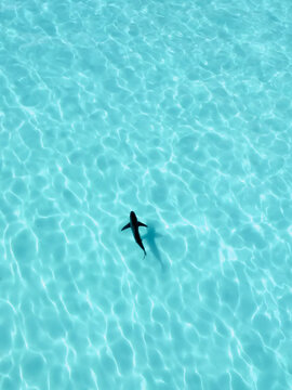 A shark swimming in shallow ocean.