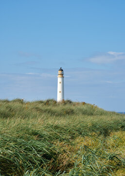 Lighthouse in grassy dunes.