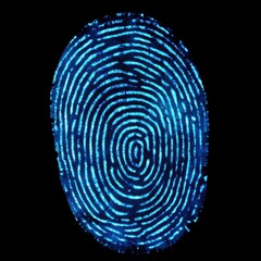 Fototapeta premium Digital representation of a fingerprint in blue colors highlighting intricate details and unique patterns of identity