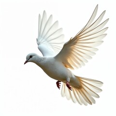 Obraz premium White dove flying isolated against transparent background. Bird with spread wings soars, representing peace hope. Concept art, faith, love. Perfect for various design projects.