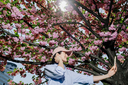 A girl is photographed near a cherry blossom