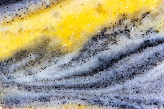 Java Jasper Macro 