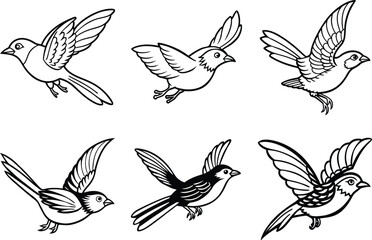 Obraz premium Various Bird Line Art Illustration Collection.