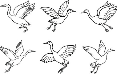 Obraz premium Various Bird Line Art Illustration Collection.
