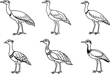 Naklejka premium Various Bird Line Art Illustration Collection.