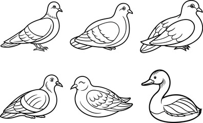 Obraz premium Various Bird Line Art Illustration Collection.