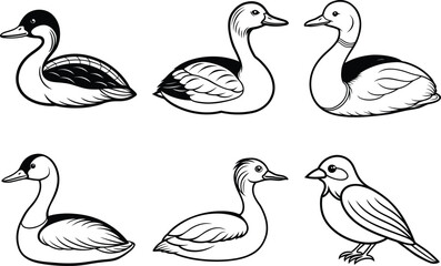 Fototapeta premium Various Bird Line Art Illustration Collection.
