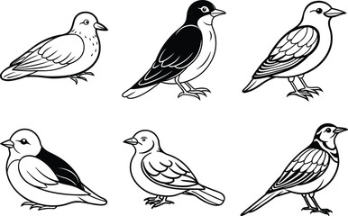 Obraz premium Various Bird Line Art Illustration Collection.