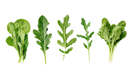 Fresh greens, spinach, arugula, and kale, Transparent background, PNG file background,