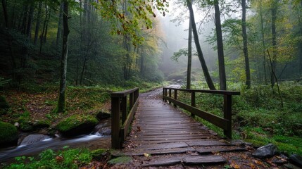 Obraz premium Serene Wooden Bridge Over Calm Stream in Foggy Forest Landscape