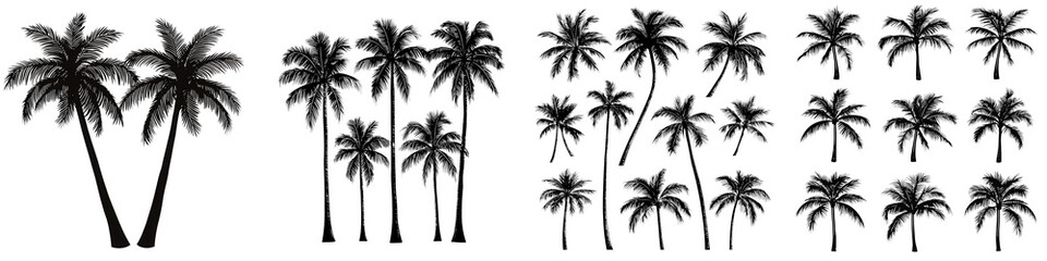 A collection of distinct palm tree silhouettes in various arrangements creating a tropical nature inspired graphic design