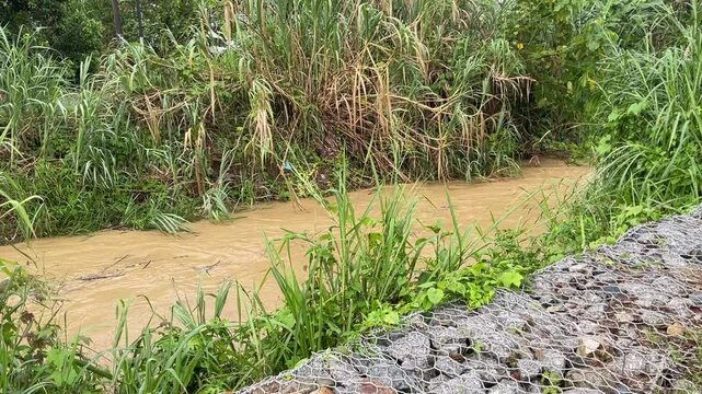 A river with elevated water levels and a moderately strong current flowing after rain in Titi Village, Jelebu, Malaysia.