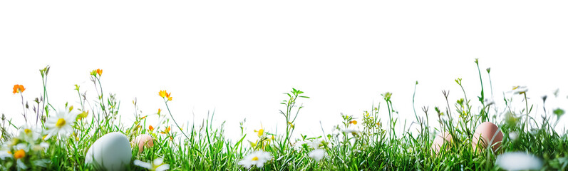 Fototapeta premium Easter eggs in grass and flowers background perfect for easter holiday celebration design use
