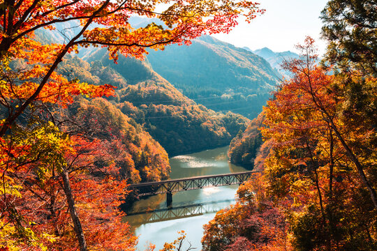 Fukushima, JAPAN - Nov 10, 2024: Tadami line railroad bridge across Tadami river in Fukushima