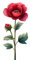 Vibrant Red Flower with Bud on a Simple White Background in 3D Style Illustration