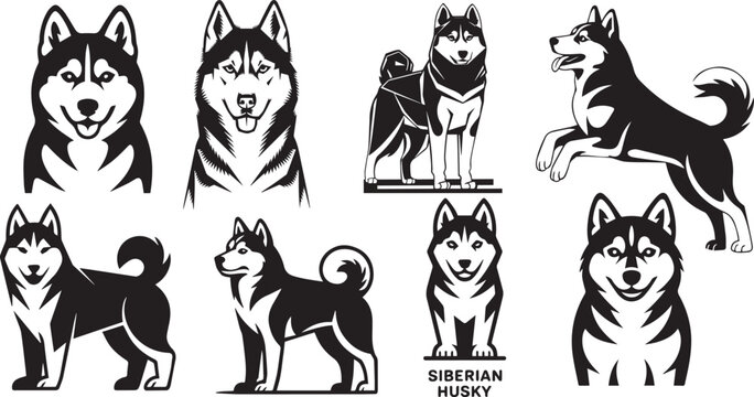 siberian huski dog logo  illustration and the color are black and white