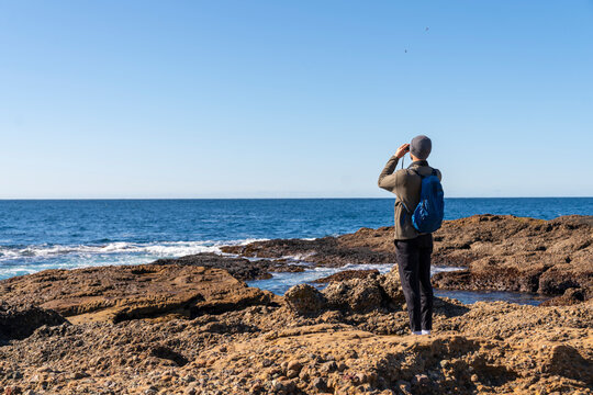 whale watching 