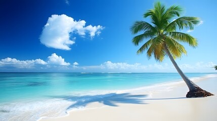 Tall palm tree gracefully positioned on pristine white sand beach under the warm sunshine and clear blue skies 