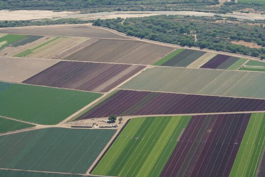 Agriculture fields