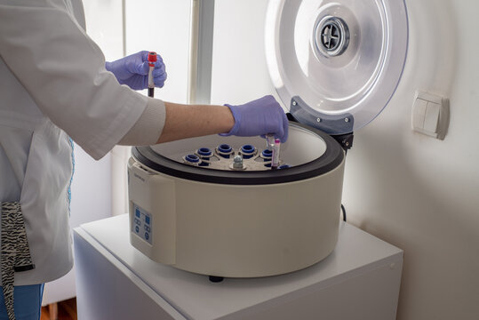 Nurse places test tubes with blood for analysis into a centrifuge