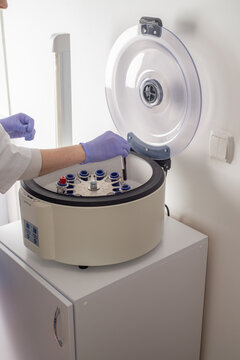 Nurse places test tubes with blood for analysis into a centrifuge
