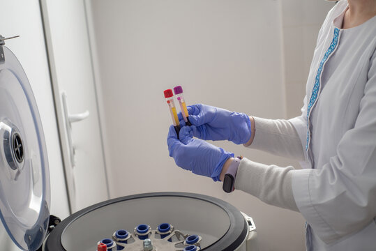 Nurse places test tubes with blood for analysis into a centrifuge
