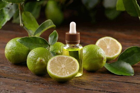 Explore the benefits of Citrus bergamia and its essential oil. 