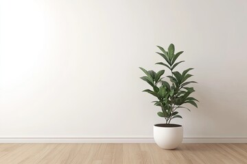 Empty room with potted plant.  Simple, modern, minimalist interior design.  Clean lines and light-filled space