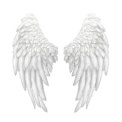Angelic wings with soft, downy feathers, isolated on transparent background