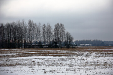 Cloudy winter day. Rolls of straw are accurately put at the far-away country of the field. Everything is covered with snow.